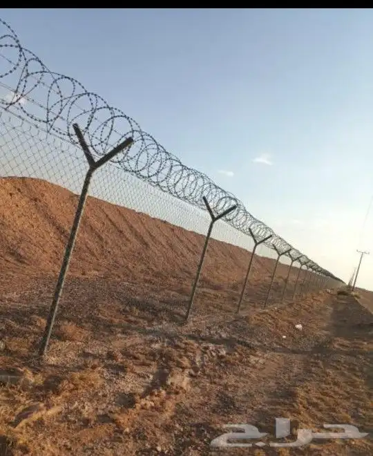 تركيب شبوك وزراعه النخيل 0