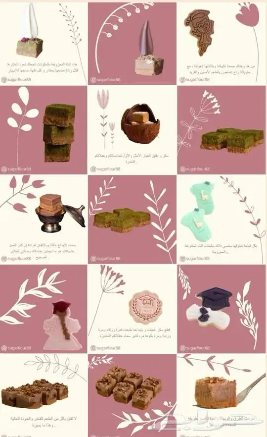 مصورة ومصممة وإدارة محتوى احترافي بسعر مناسب 2