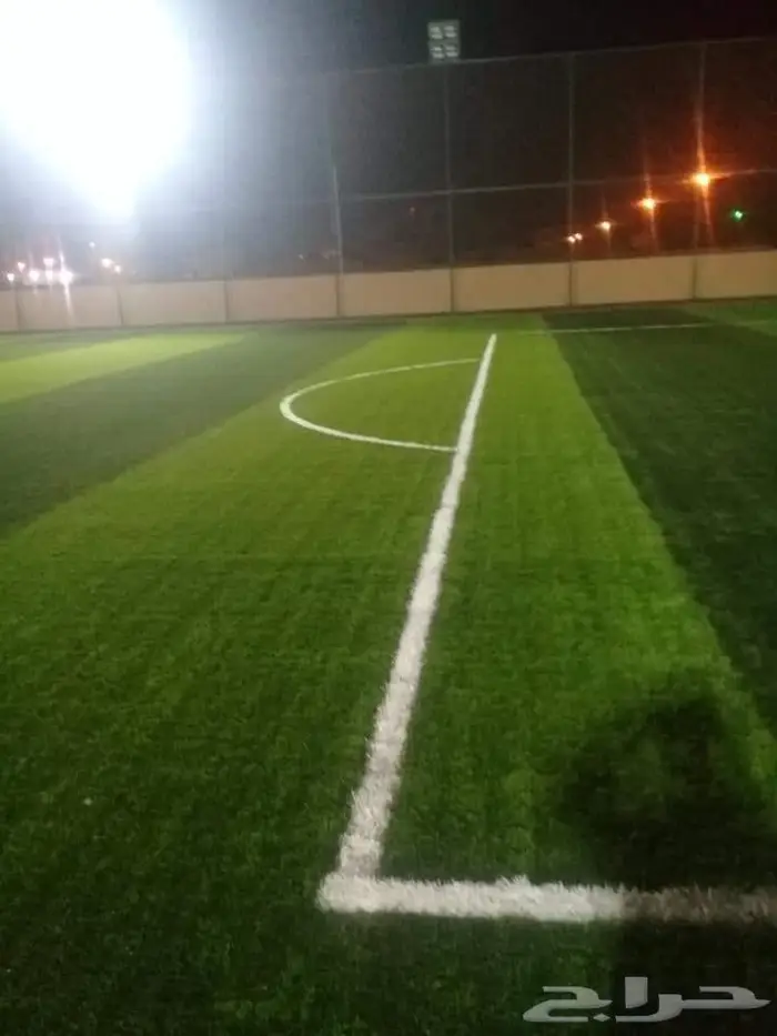 ثيل طبيعي ياباني فرنسي c2000انتورو أمريكي تركيب تجهيز ملاعب 11