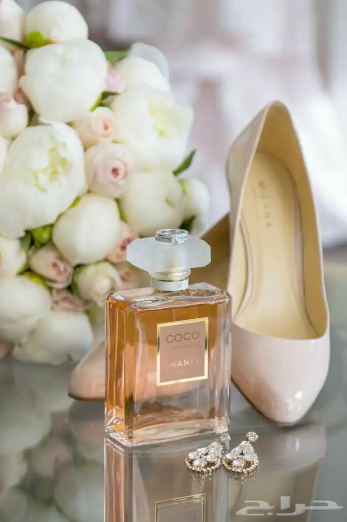 مصورة ومصممة وإدارة محتوى احترافي بسعر مناسب 12