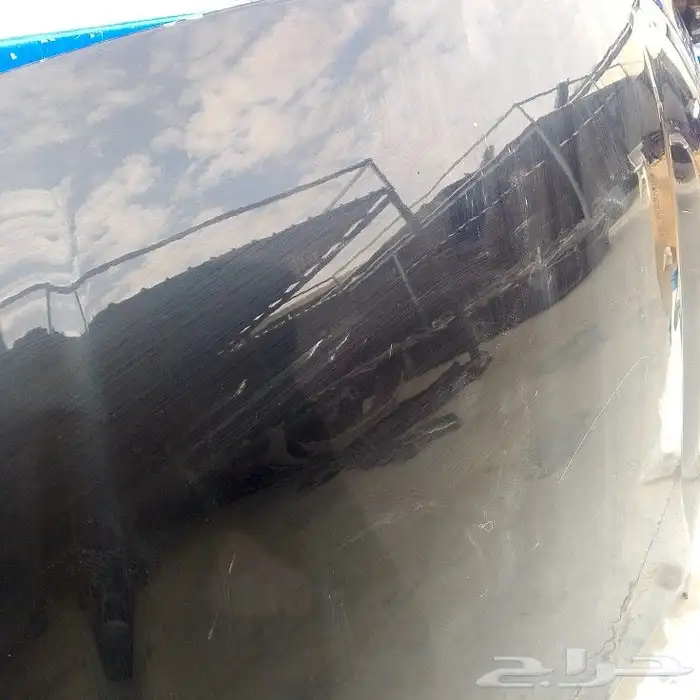 كبوت كادينزا كحلي 2017-2018-2019-2020 اصلي وكالة 3