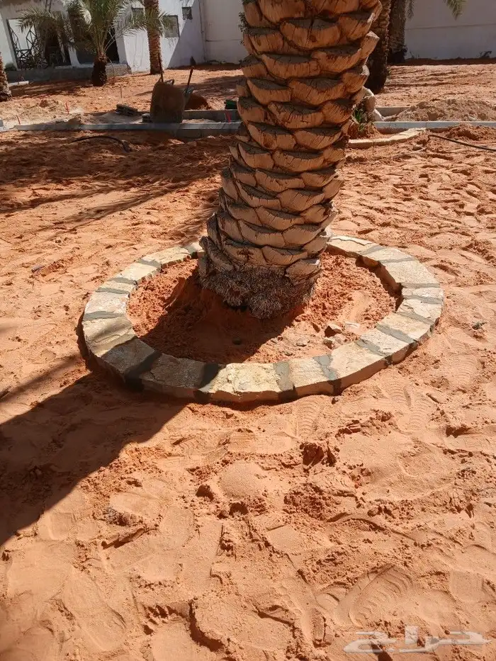 تركيب انترلوك وبلدوره لتواصل ابو مصطفى 9