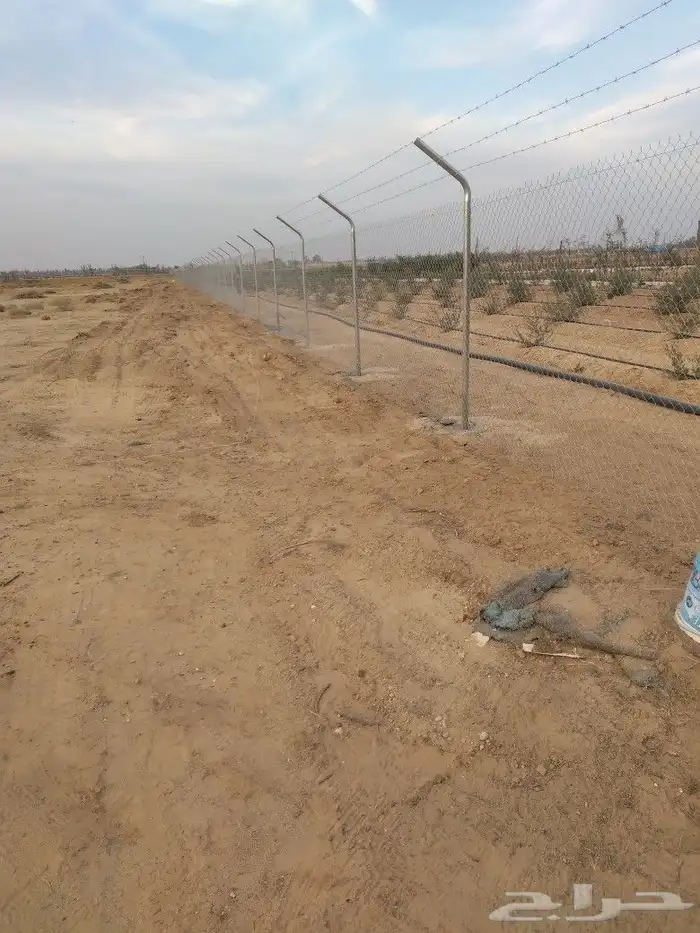 مقاول شبوك جميع انواعها 6