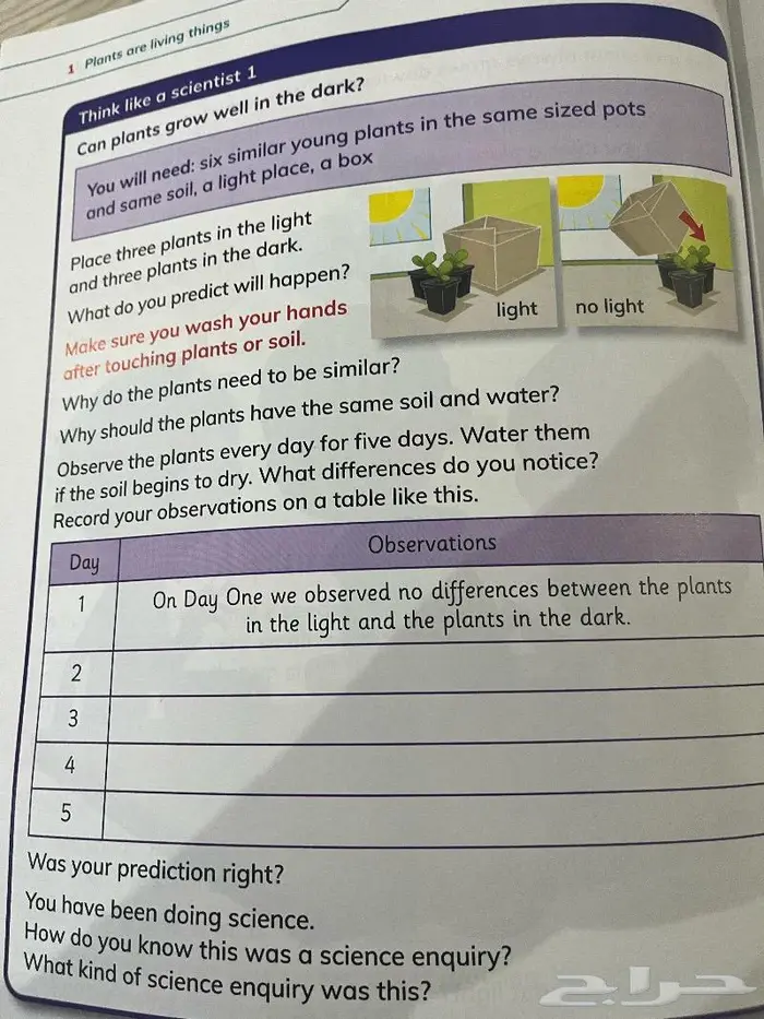 معلمة انجليزي 7