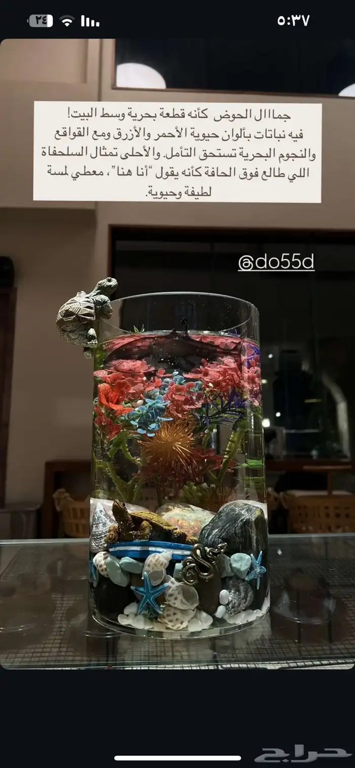 احواض سمك 0