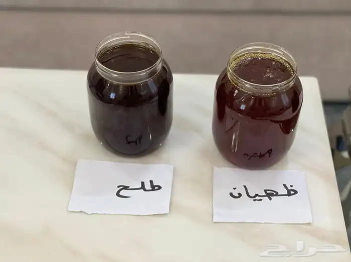 عسل سدر سمر طلح شوكه ضهيانه قتاده بلدي رجال المع 2