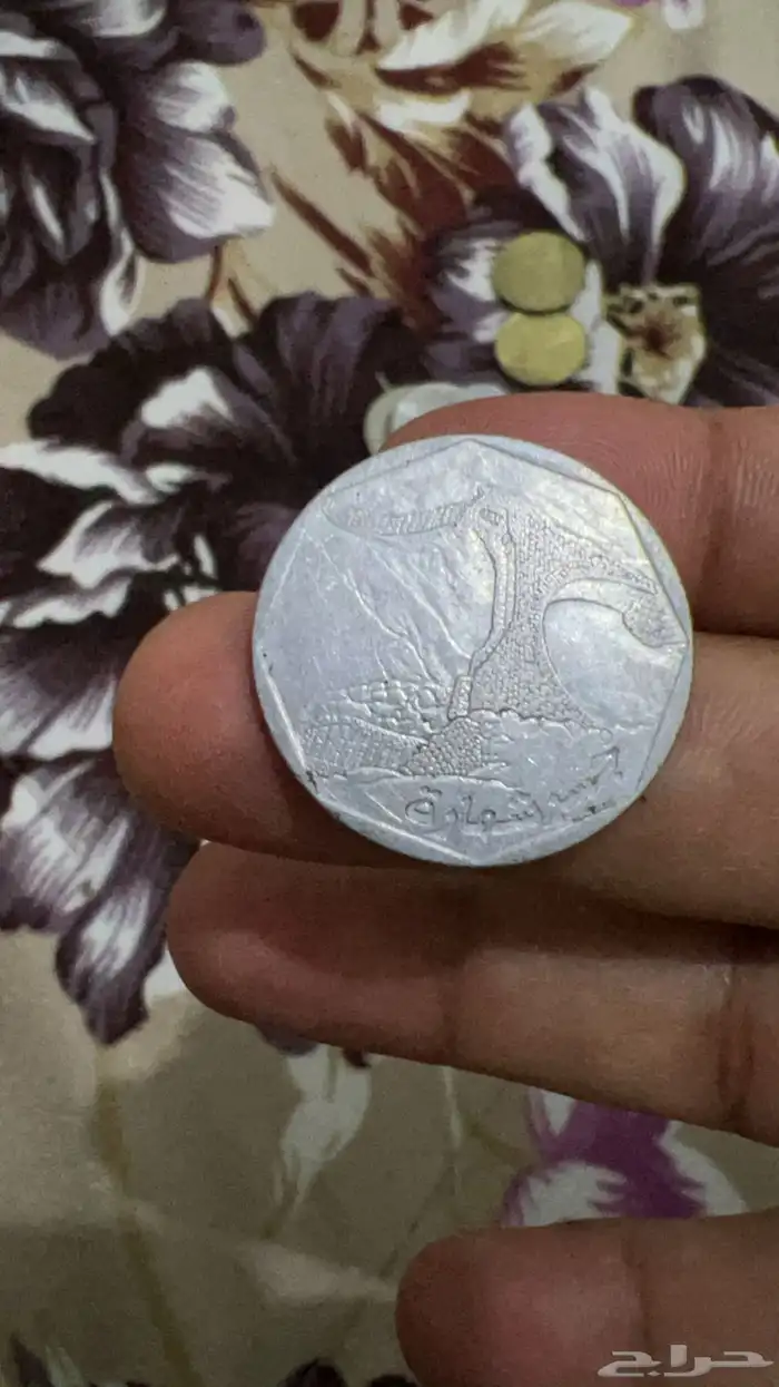 تحف تراثيه وأثرية وفلوس قديمه 85
