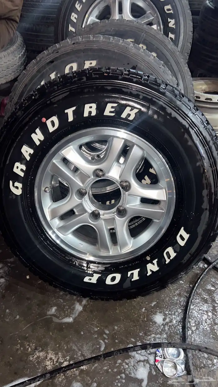 جنوط الحميد شفه نيكل معا كفرات دلوب 2023 1