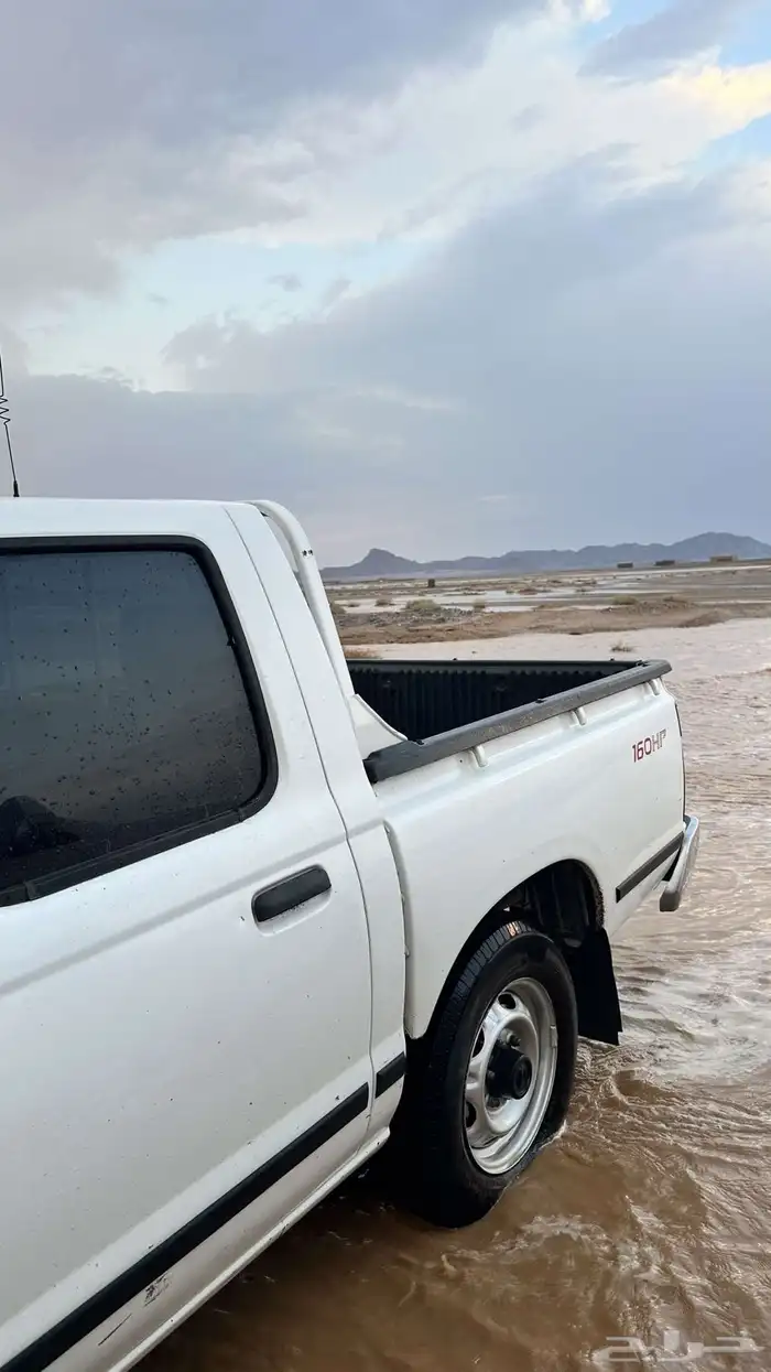 الحائط 8