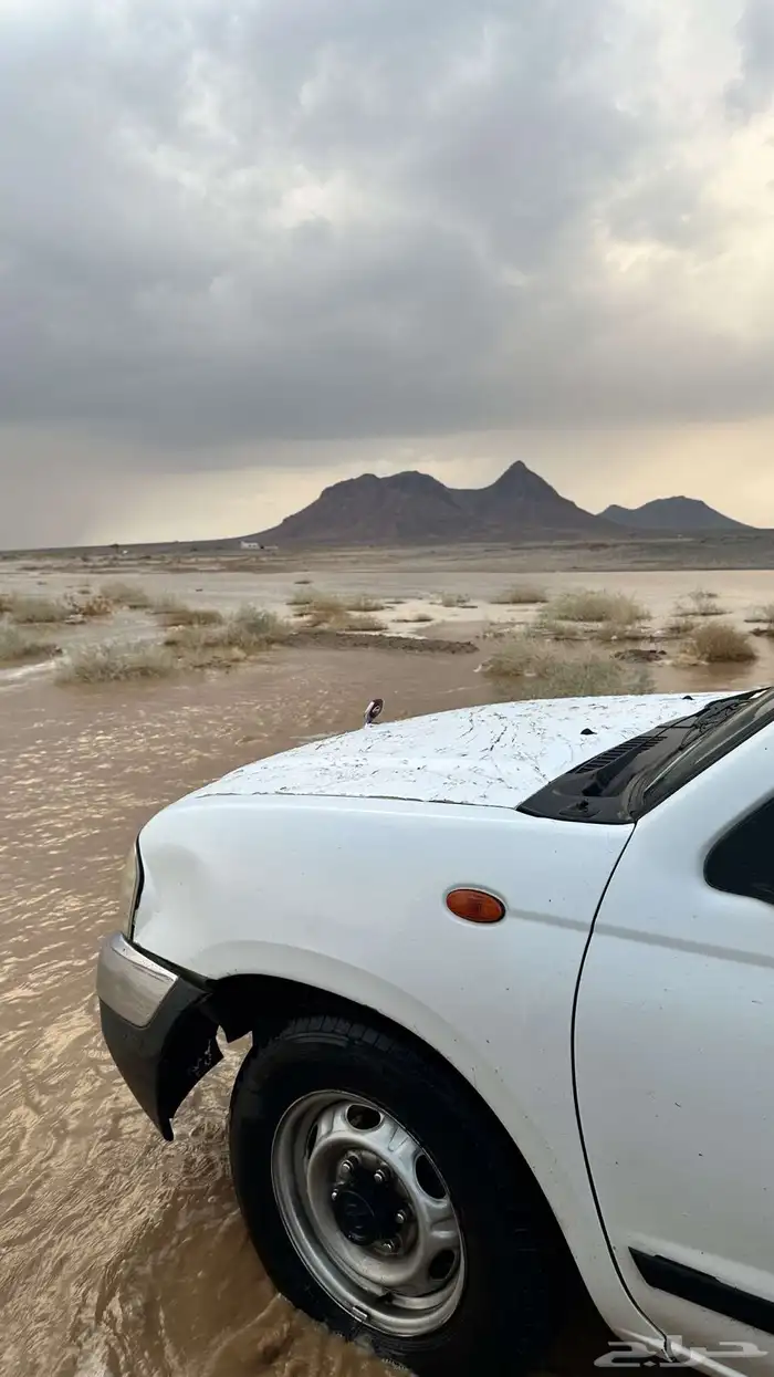 الحائط 9