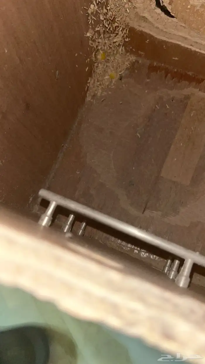 عش ببغاء كبير جميل للبغاء وفيه سلم من داخل للطيور 8