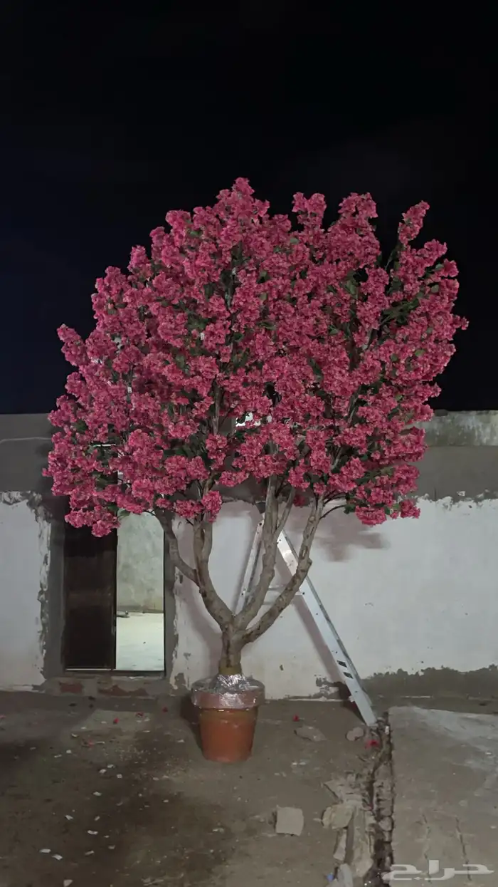 شجر صناعي اشجار صناعية جميع الاحجام 0