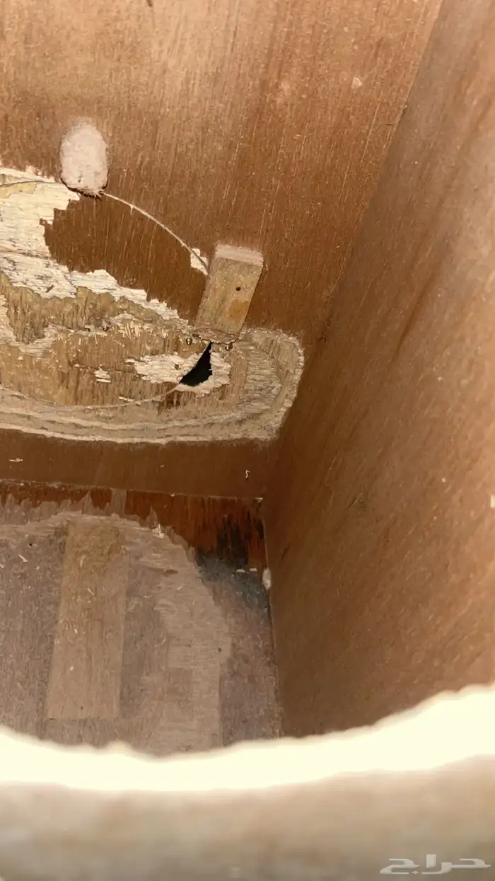 عش ببغاء كبير جميل للبغاء وفيه سلم من داخل للطيور 4