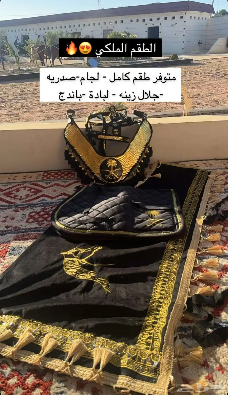 مستلزمات خيل 2