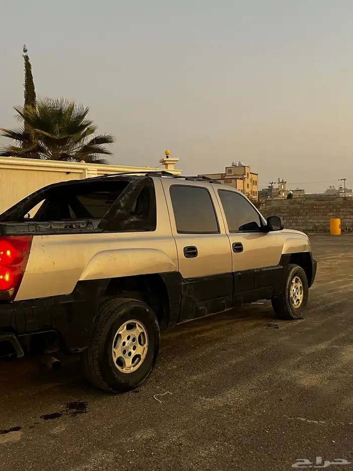 افلانش 2006 5