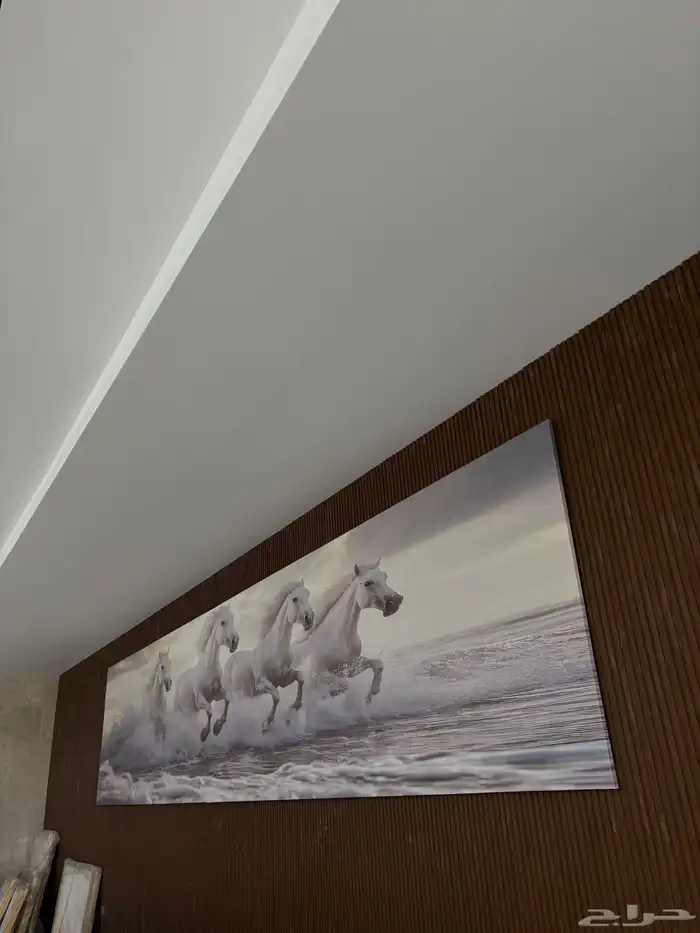 لوحات جدارية كانفس فاخرة 22