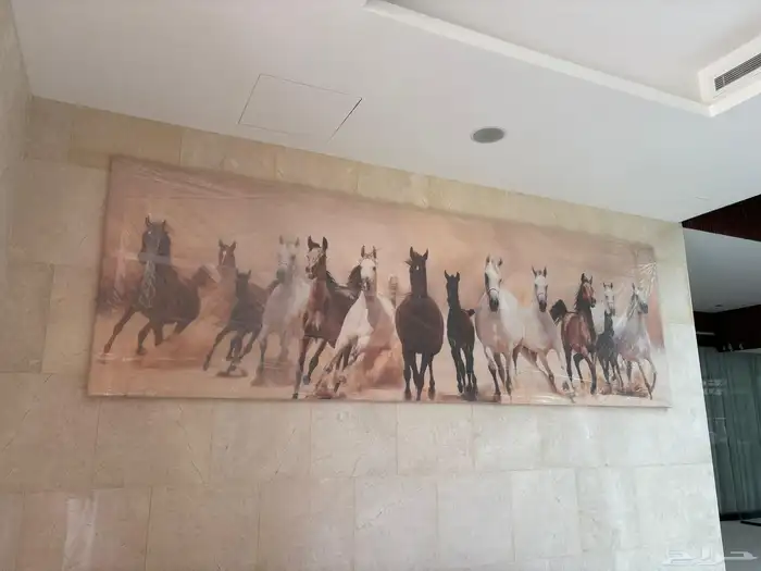 لوحات جدارية كانفس فاخرة 21