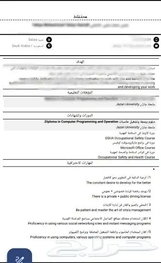 تصميم CV صيغة ATS 0