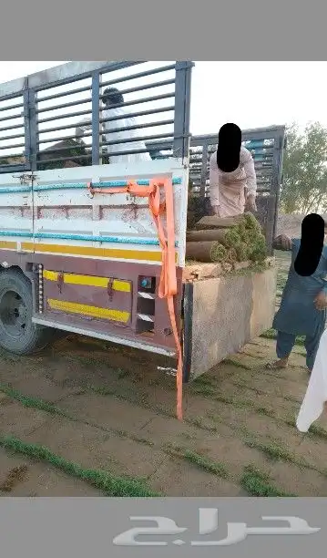نجيله طبيعي او ثيل 3