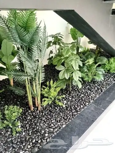 تنسيق حدائق 11