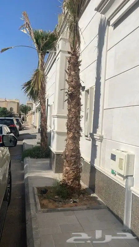 تنسيق حدائق 29