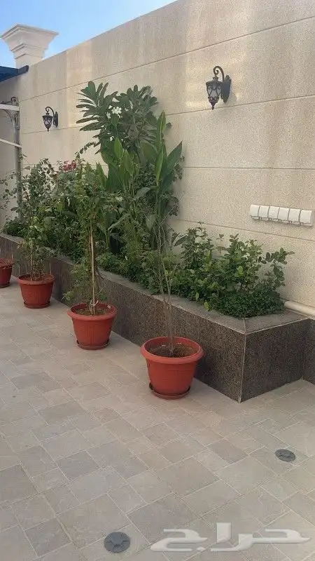 تنسيق حدائق 27