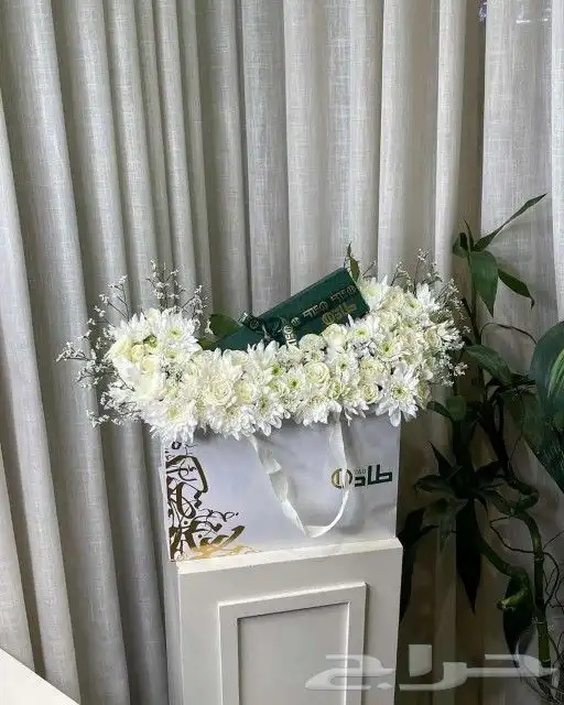 مندوب توصيل طلبات وتنسيق هدايا 4