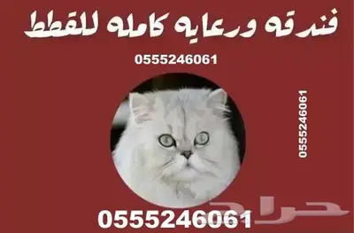 فندقة قطط وطيور 6061 24 0555 وقت سفركم واجازتكم 2