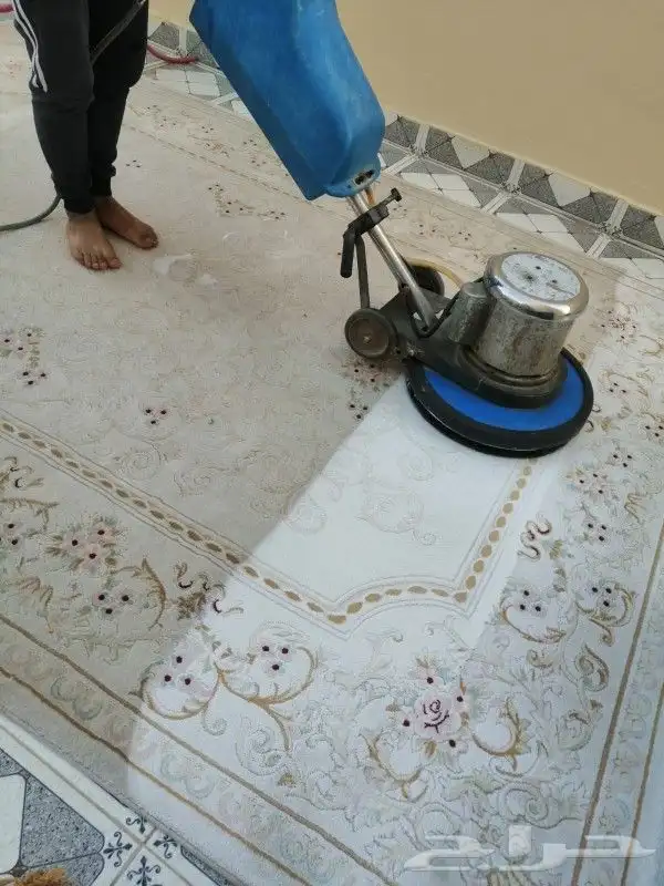 تنظيف منازل ومجالس وفرش وخزانات ورش مبيدات الحشرات 0