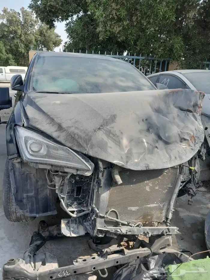 شنجان ايدو تشليح 2021 3