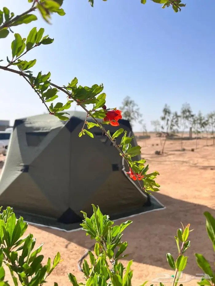 خيمة ديسكفري 3 في 3 0