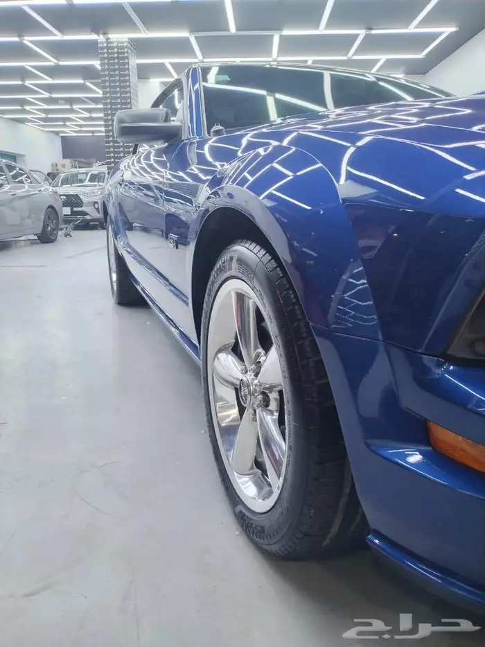 موستنج كشف 2007 8