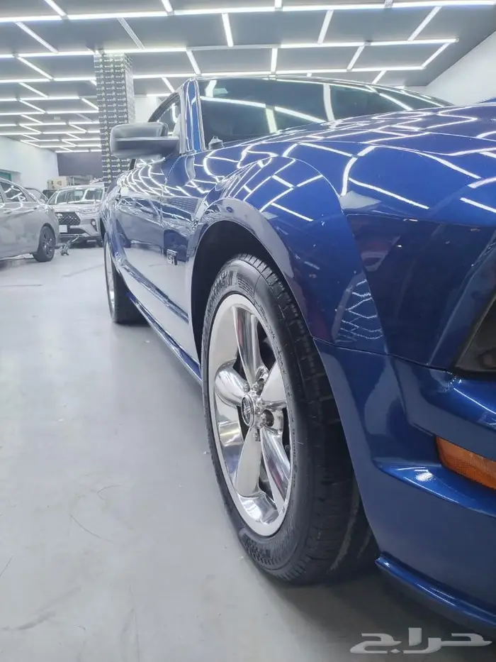 موستنج كشف 2007 10