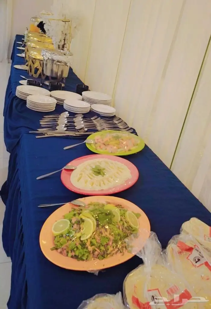 بوفيه مفتوح وسفر ملكية فاخرة 1