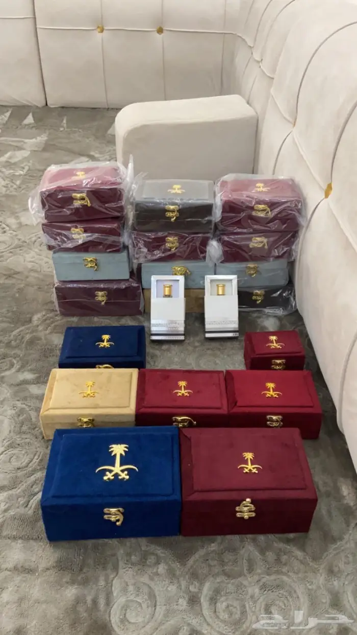 العود الازرق عروض اليوم وطني 95 8