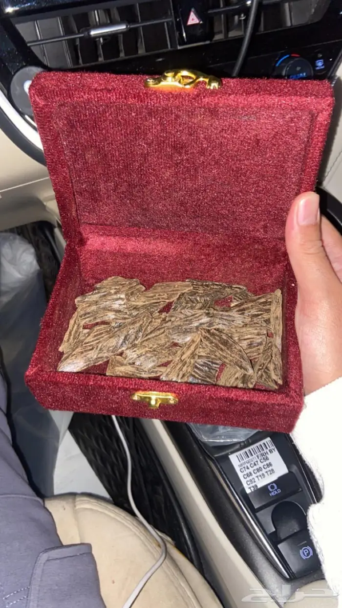 العود الازرق عروض اليوم وطني 95 17