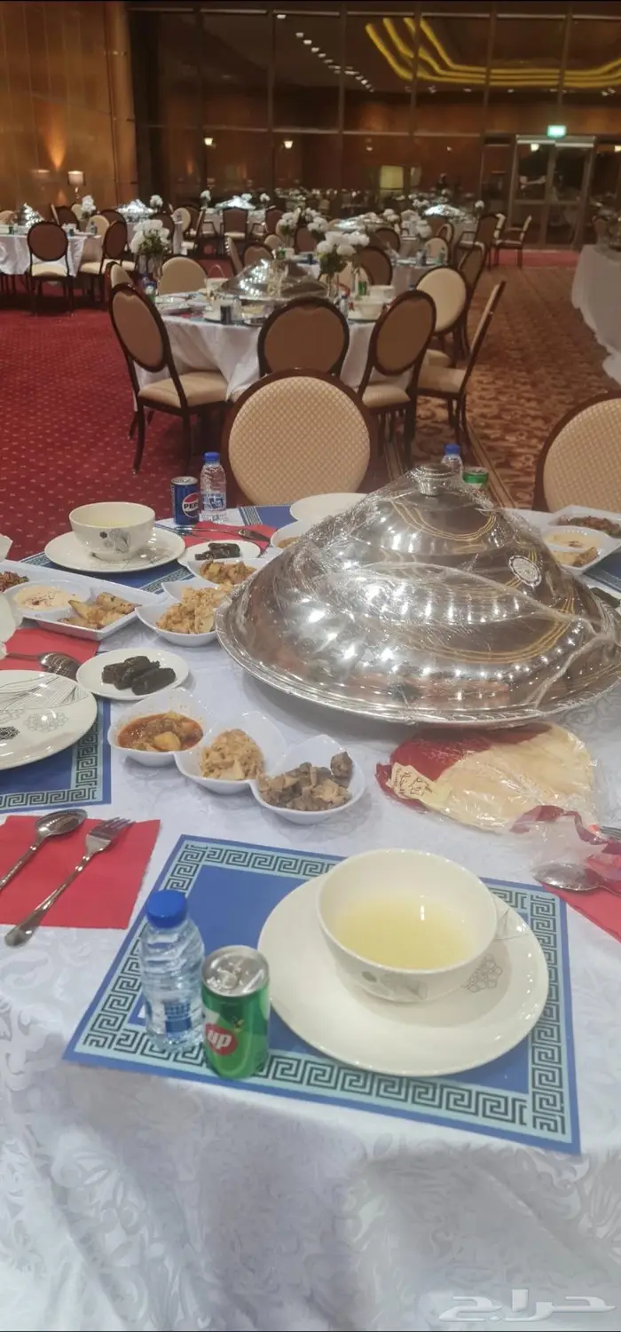 بوفيه مفتوح وسفر ملكية فاخرة 3