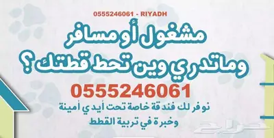 فندقة قطط وطيور 6061 24 0555 وقت سفركم واجازتكم 3