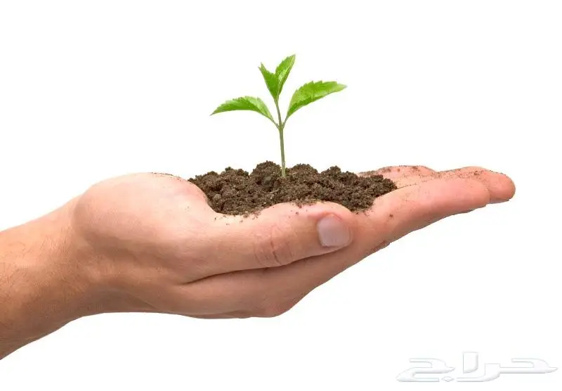 تنسيق البحوث وفهرسة الرسائل - إتقان وبأقل الأسعار 3