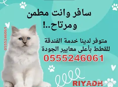 فندقة قطط وطيور 6061 24 0555 وقت سفركم واجازتكم 4