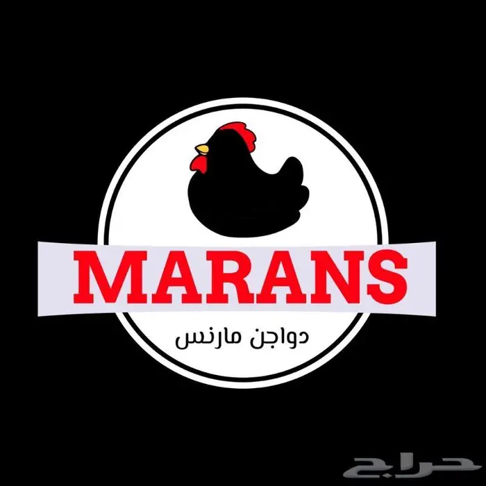 تصميم هوية تجارية 14