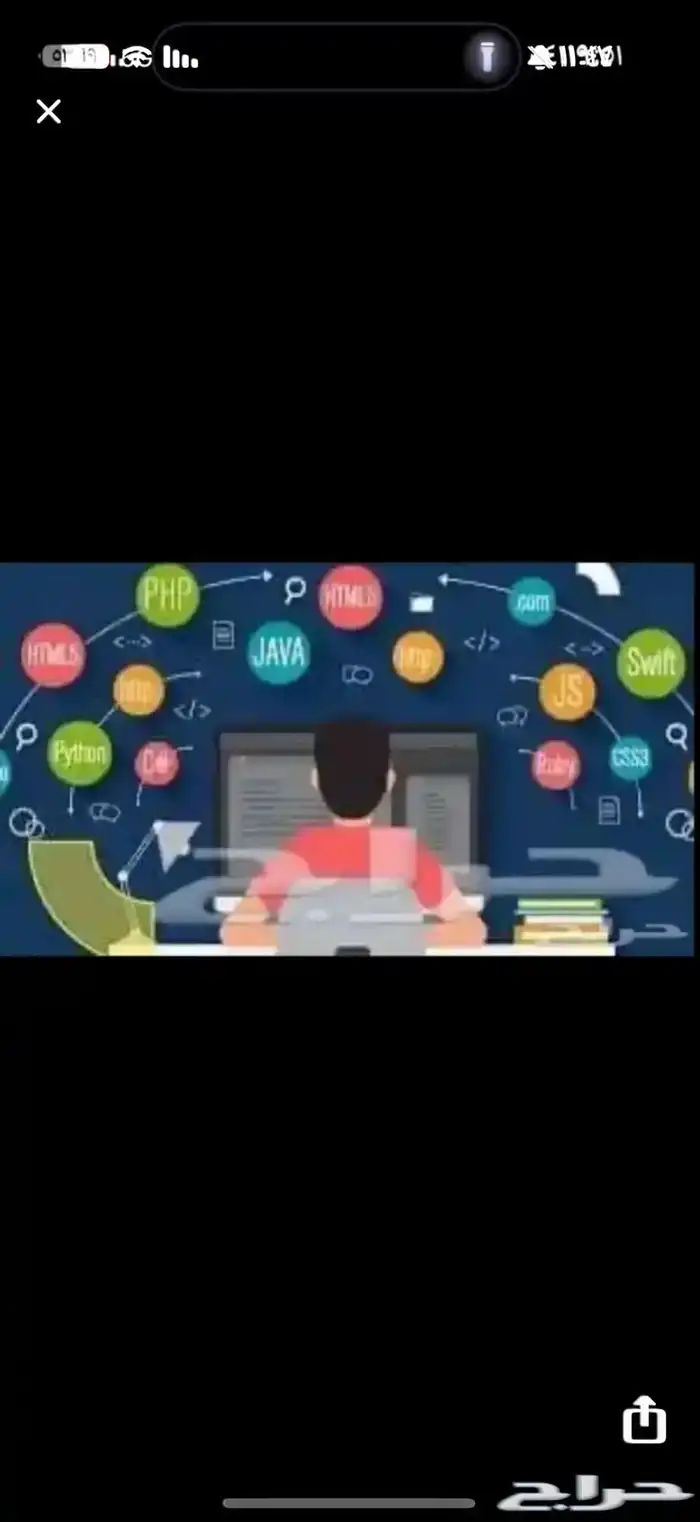 حل جميع الواجبات والاختبارات 0