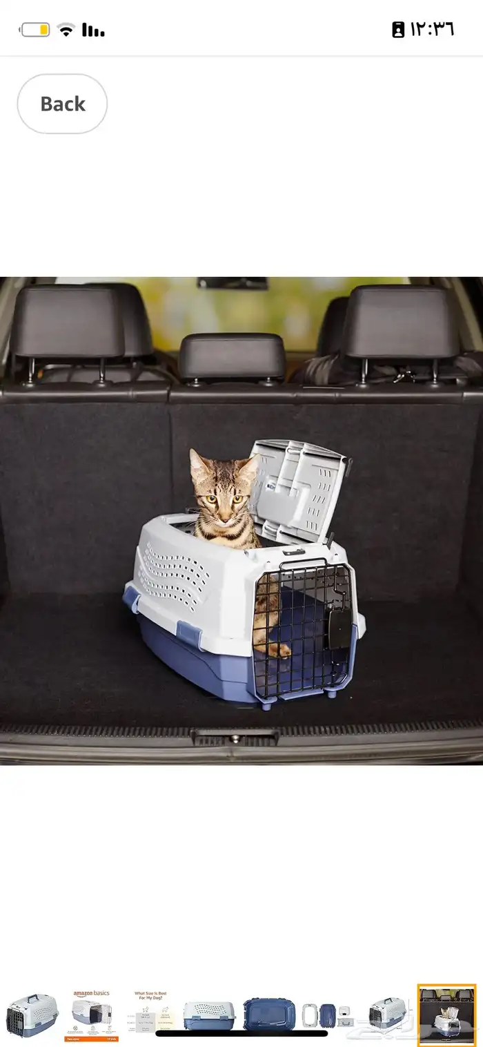 مستلزمات قطط رمل حوض مرحاض خداشه قفص سرير العاب 2