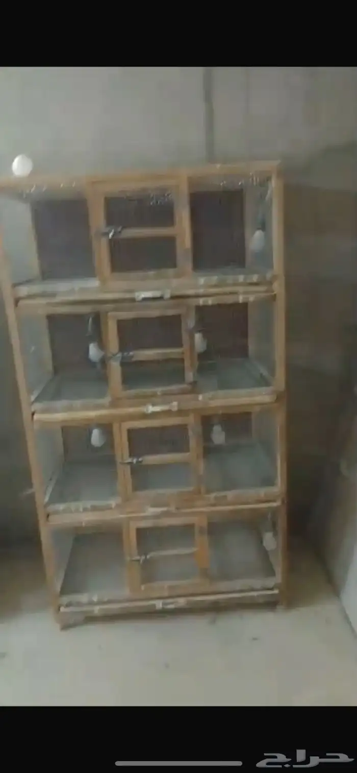 فقاسات و حضانات 9