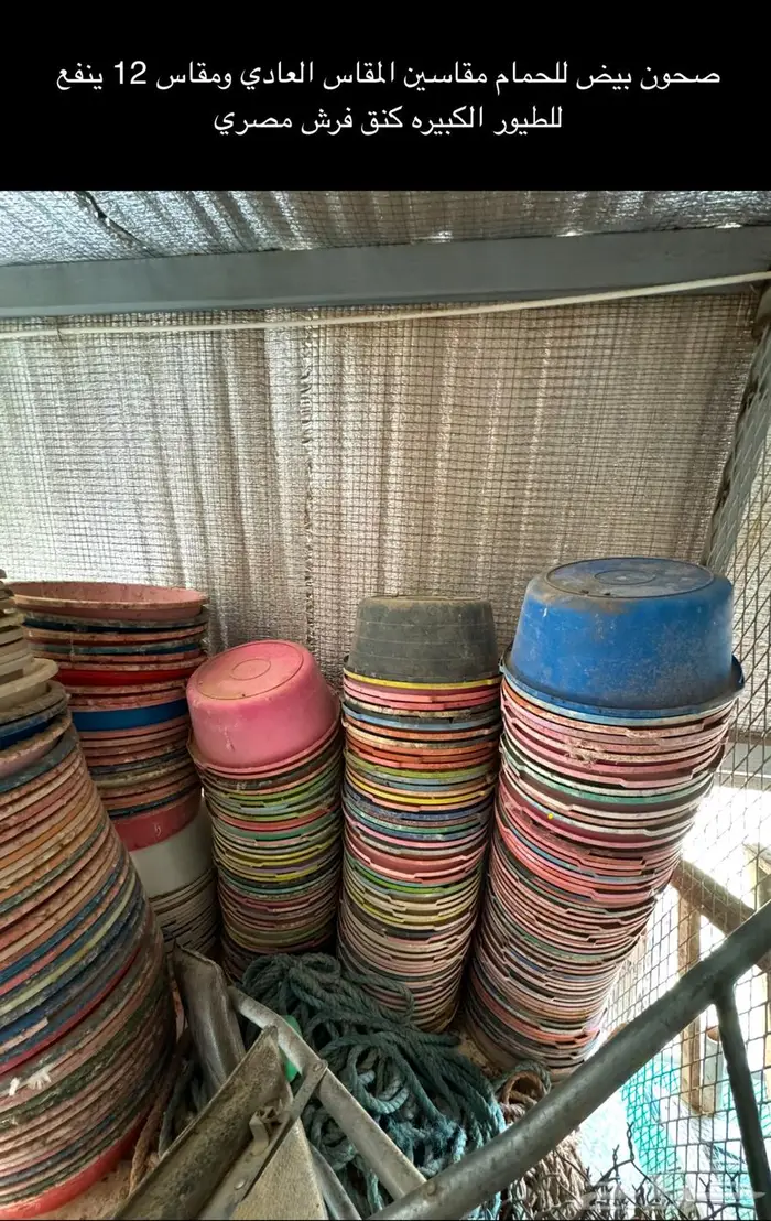 فقاسات محاكر عوامات معالف سقايات صحون بيض 12