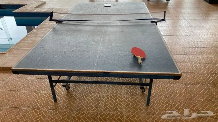 تنس بلياردو فرفيرة 5
