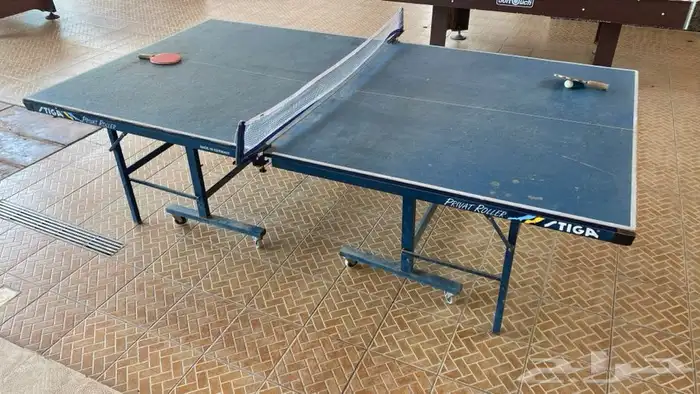تنس بلياردو فرفيرة 6