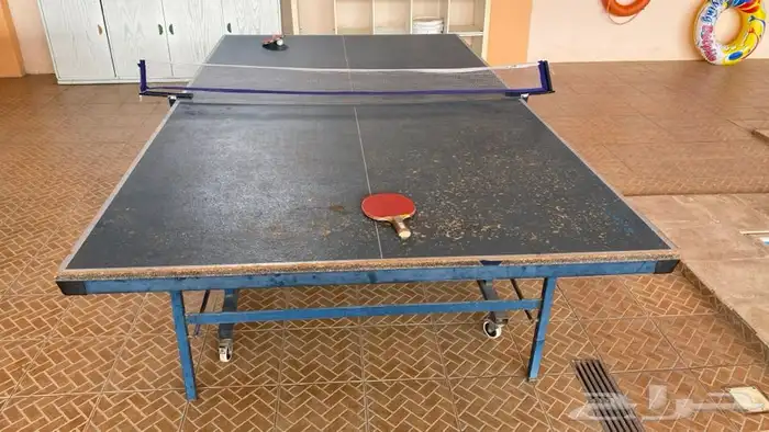تنس بلياردو فرفيرة 8
