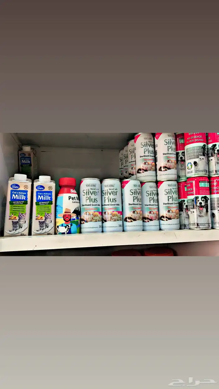 اغراض ومستلزمات قطط 29