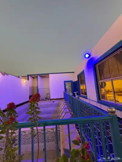 شاليه رخيص لنفس اليوم 9